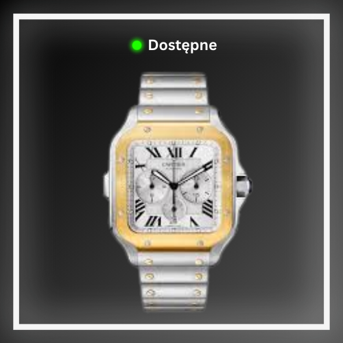 Cartier Santos de Cartier (Large Model)